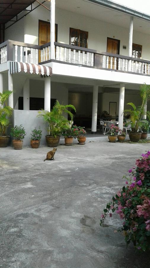 My Palace Inn كو بانغان المظهر الخارجي الصورة