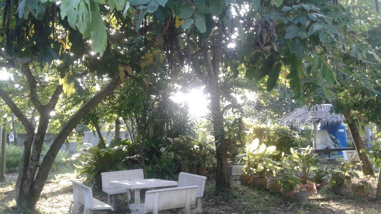 My Palace Inn كو بانغان المظهر الخارجي الصورة