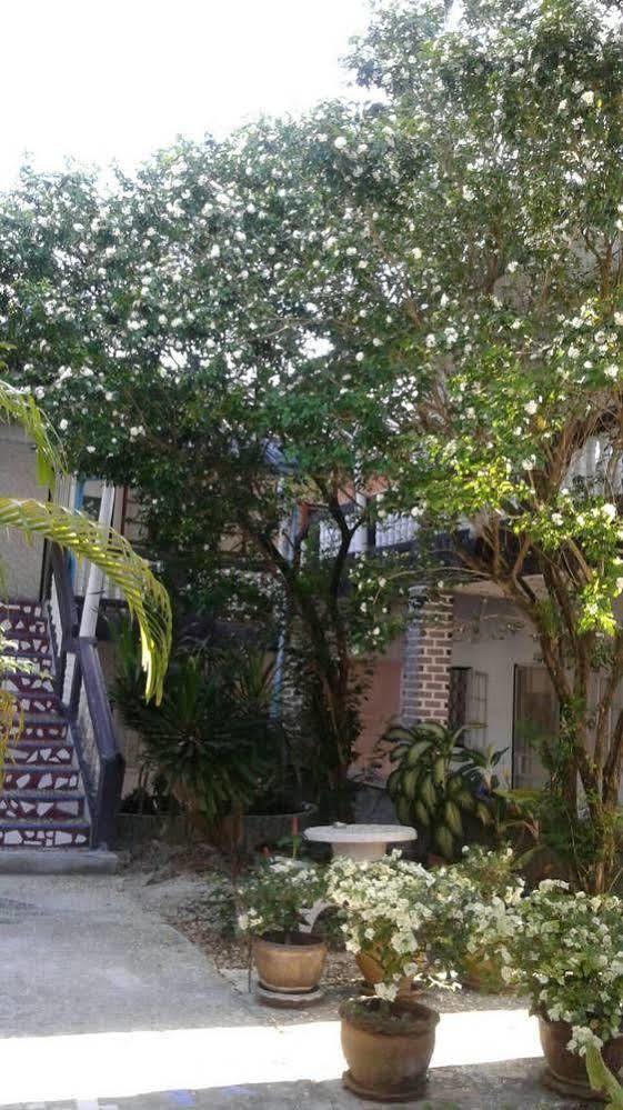 My Palace Inn كو بانغان المظهر الخارجي الصورة